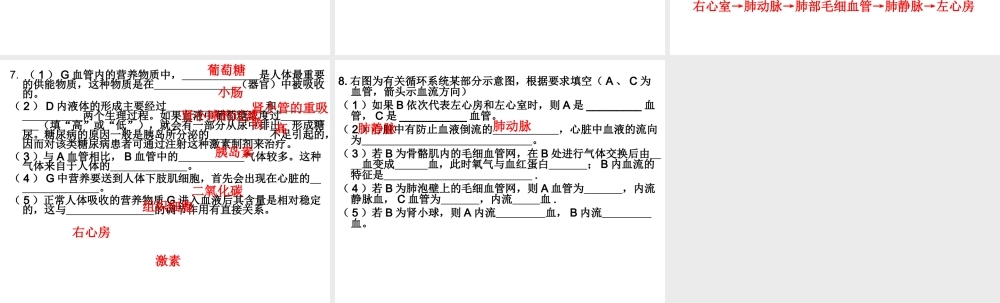 八年级生物下册 第二轮复习 生物圈中的人专题课件 新人教版-新人教级下册生物课件