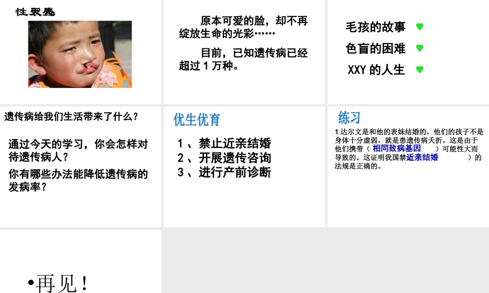 八年级生物下册 第二十二章 第四节 遗传病和优生优育课件1 （新版）苏教版