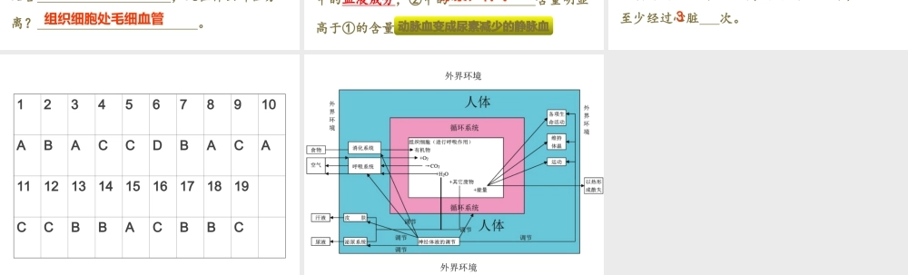 八年级生物下册 第二轮复习 周末习题纠错课件 新人教版-新人教版初中八年级下册生物课件