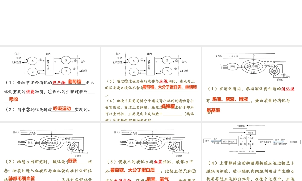 八年级生物下册 第二轮复习 周末习题纠错课件 新人教版-新人教级下册生物课件
