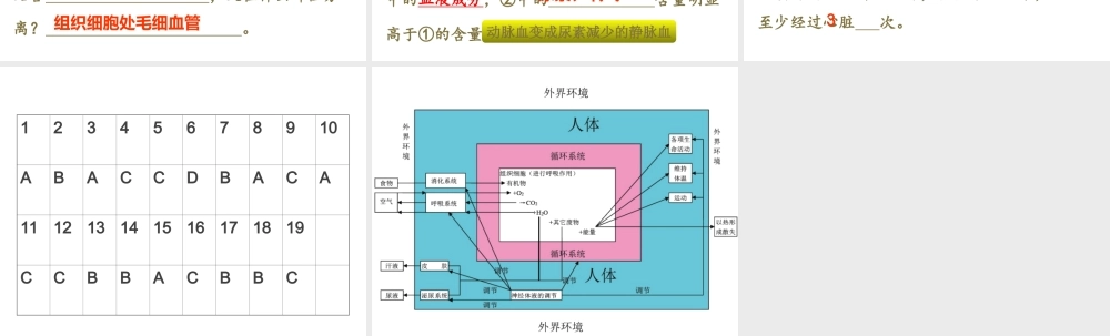 八年级生物下册 第二轮复习 周末习题纠错课件 新人教版-新人教级下册生物课件