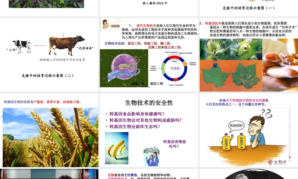 八年级生物下册 第八单元 第二章 现代生物技术课件 冀教版-冀教级下册生物课件