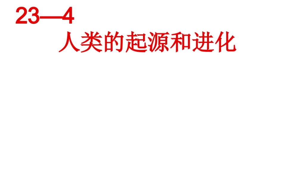 八年级生物下册 第23章 第4节 人类的起源和进化课件 （新版）苏科版-（新版）苏科级下册生物课件