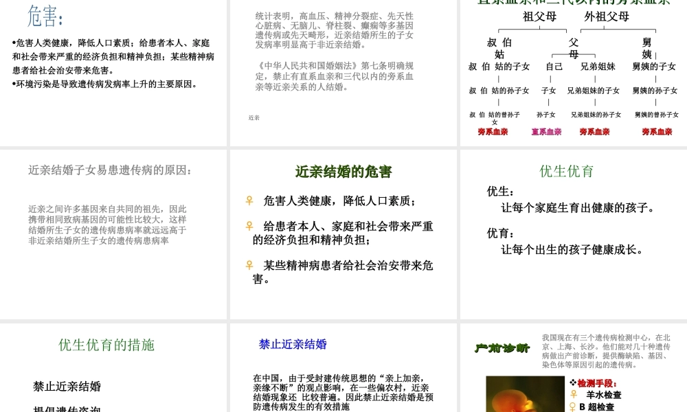 八年级生物下册 第二十二章 第四节 遗传病和优生优育课件3 （新版）苏教版