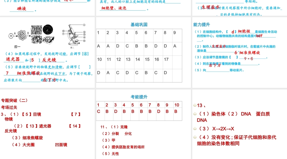 八年级生物下册 第二轮复习 专题二 生物体的结构层次课件 新人教版-新人教版初中八年级下册生物课件