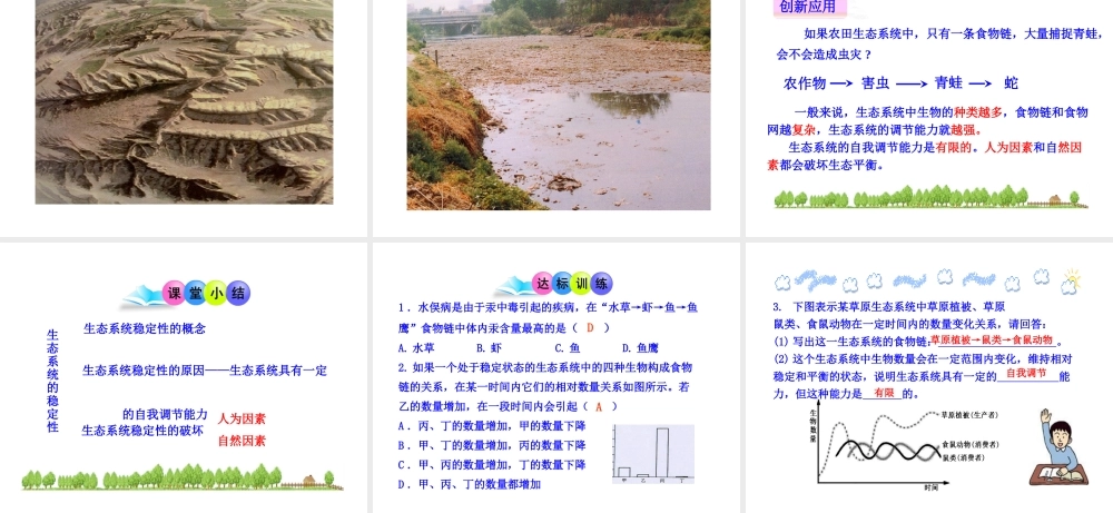 八年级生物下册 第23章 第4节《生态系统的稳定性》课件 （新版）北师大版