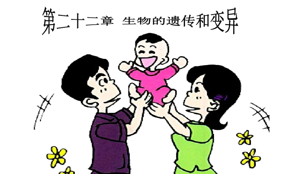 八年级生物下册 第二十二章 第四节 遗传病和优生优育课件4 （新版）苏教版