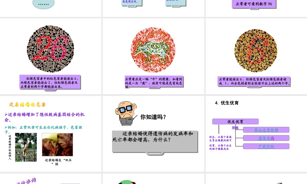 八年级生物下册 第二十二章 第四节 遗传病和优生优育课件4 （新版）苏教版
