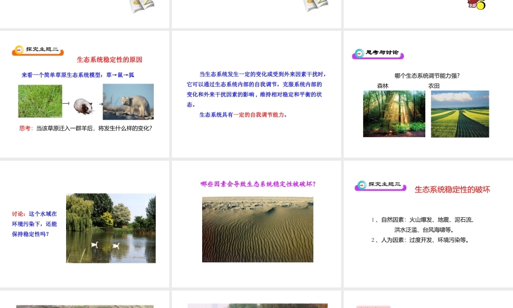 八年级生物下册 第23章 第4节《生态系统的稳定性》课件 北师大版