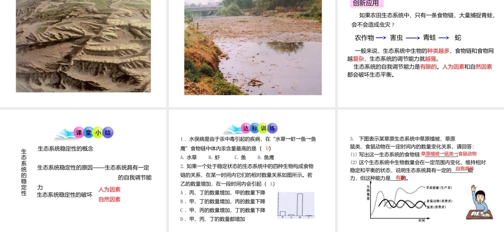 八年级生物下册 第23章 第4节《生态系统的稳定性》课件 北师大版