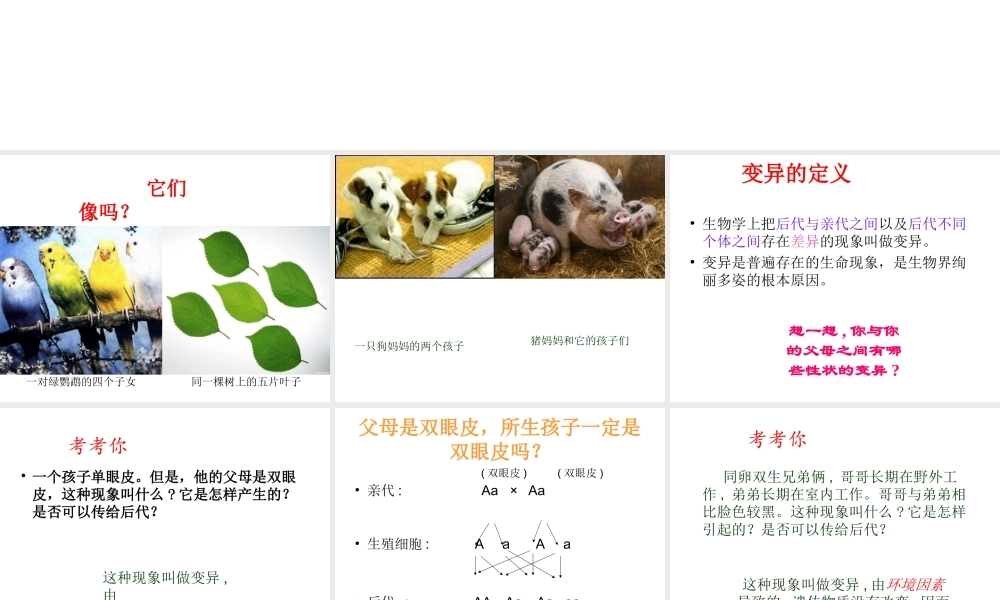八年级生物下册 第二十二章 第五节 生物的变异课件1 （新版）苏教版