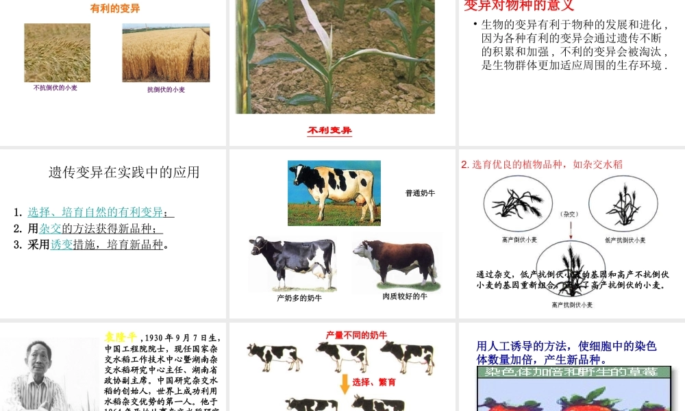 八年级生物下册 第二十二章 第五节 生物的变异课件1 （新版）苏教版