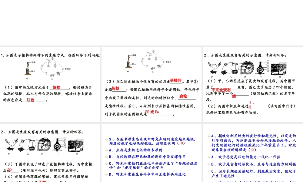 八年级生物下册 第二轮复习 专题六 生物的生殖和发育课件 新人教版-新人教版初中八年级下册生物课件