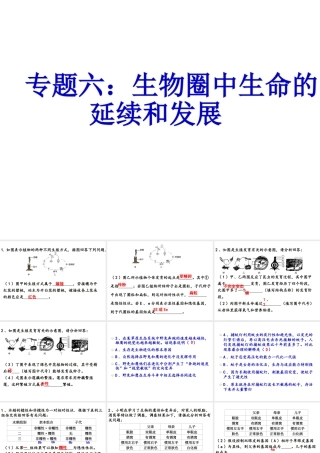 八年级生物下册 第二轮复习 专题六 生物的生殖和发育课件 新人教版-新人教版初中八年级下册生物课件