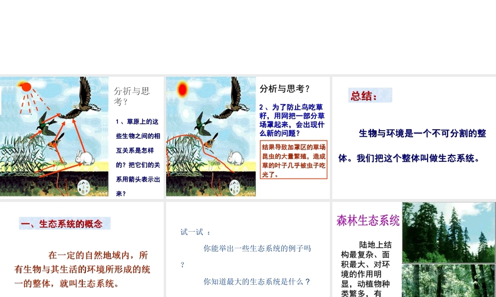 八年级生物下册 第23章 第二节-生态系统概述课件 （新版）北师大版-（新版）北师大版初中八年级下册生物课件