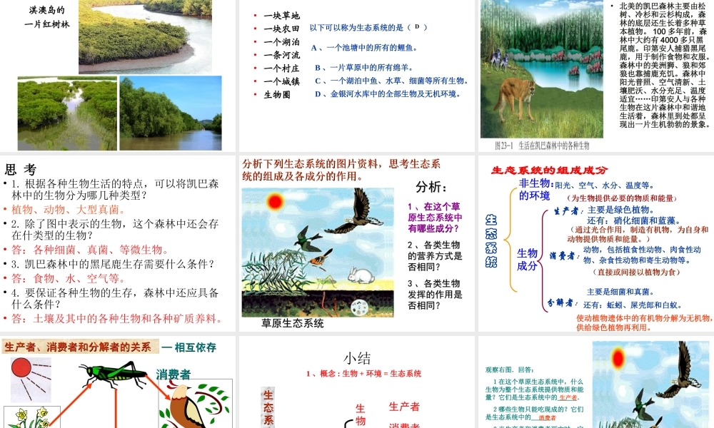 八年级生物下册 第23章 第二节-生态系统概述课件 （新版）北师大版-（新版）北师大版初中八年级下册生物课件