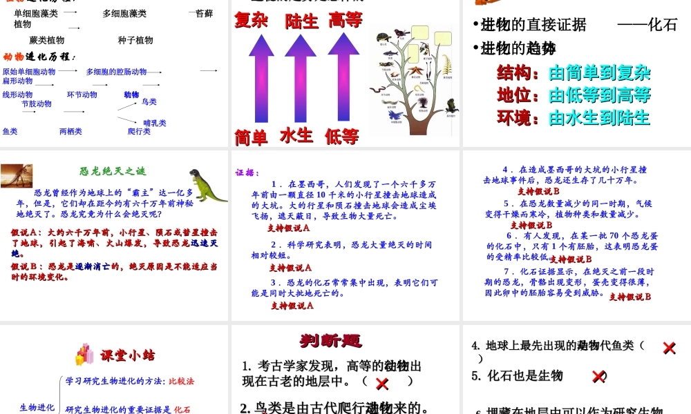 八年级生物下册 第7单元 第3章 第2节 生物进化的历程课件 （新版）新人教版-（新版）新人教版初中八年级下册生物课件