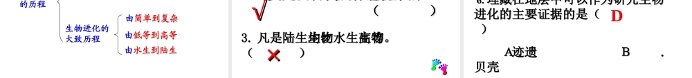 八年级生物下册 第7单元 第3章 第2节 生物进化的历程课件 （新版）新人教版-（新版）新人教版初中八年级下册生物课件