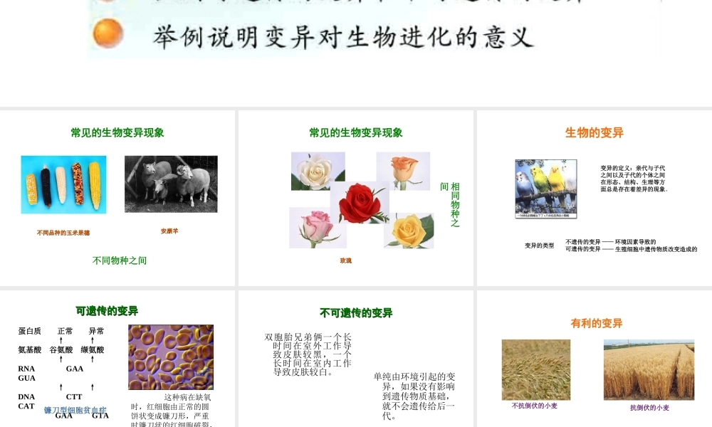 八年级生物下册 第二十二章 第五节 生物的变异课件2 （新版）苏教版