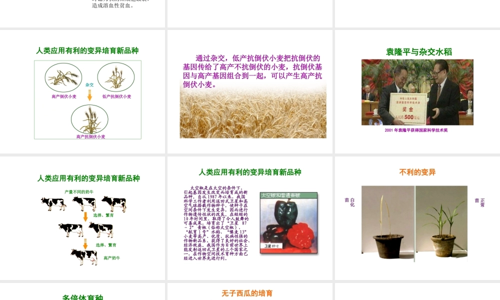 八年级生物下册 第二十二章 第五节 生物的变异课件2 （新版）苏教版