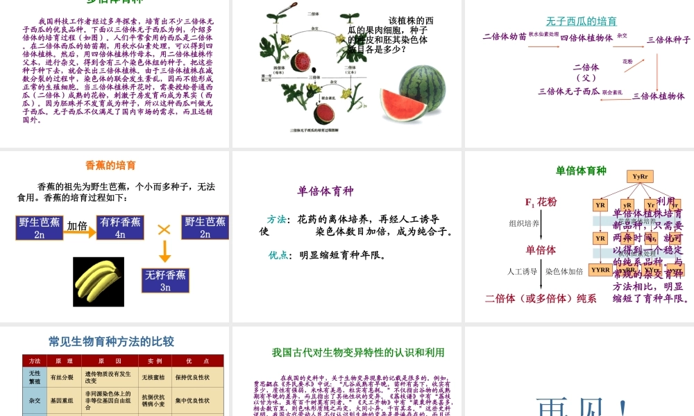 八年级生物下册 第二十二章 第五节 生物的变异课件2 （新版）苏教版