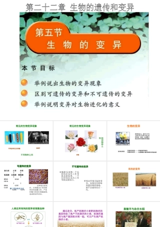 八年级生物下册 第二十二章 第五节 生物的变异课件2 （新版）苏教版