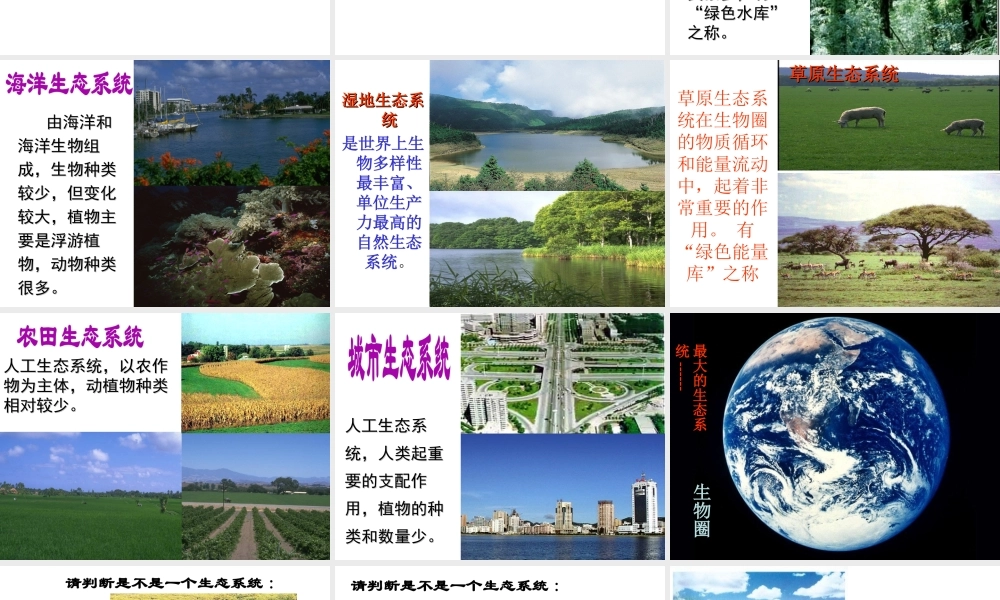 八年级生物下册 第23章 第二节-生态系统概述课件 （新版）北师大版-（新版）北师大级下册生物课件