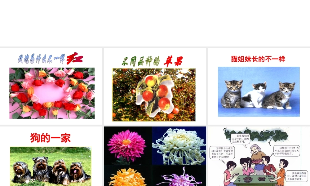 八年级生物下册 第二十二章 第五节 生物的变异课件3 （新版）苏教版