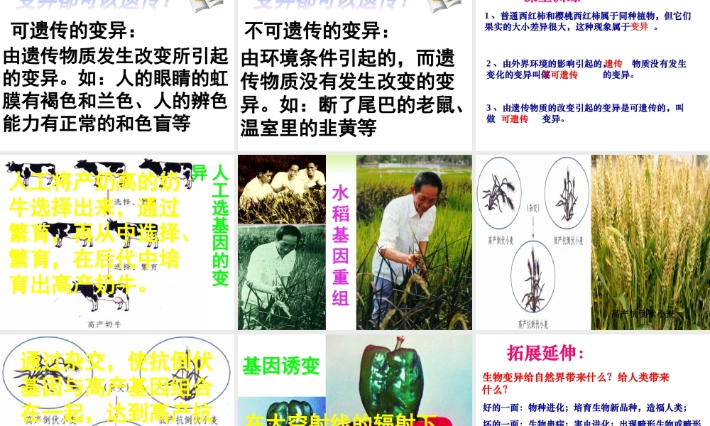 八年级生物下册 第二十二章 第五节 生物的变异课件3 （新版）苏教版