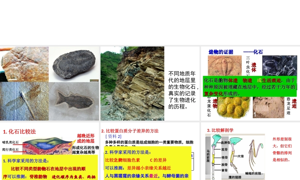 八年级生物下册 第7单元 第3章 第2节 生物进化的历程课件 （新版）新人教版-（新版）新人教级下册生物课件