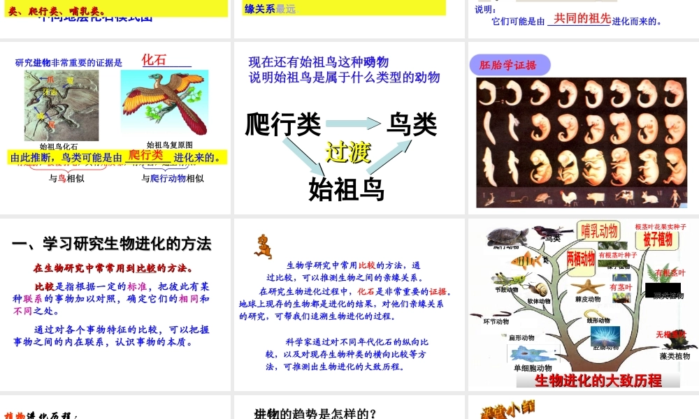 八年级生物下册 第7单元 第3章 第2节 生物进化的历程课件 （新版）新人教版-（新版）新人教级下册生物课件