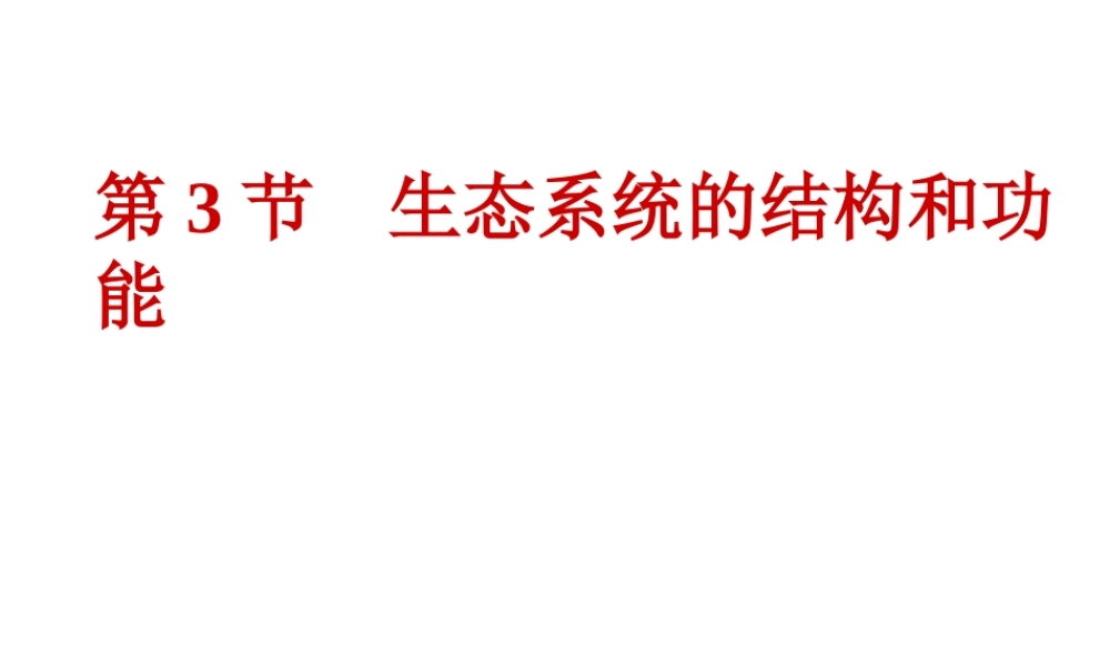 八年级生物下册 第23章 第三节 生态系统的结构和功能课件 北师大版