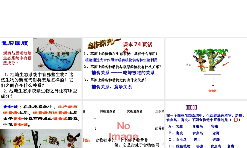八年级生物下册 第23章 第三节 生态系统的结构和功能课件 北师大版