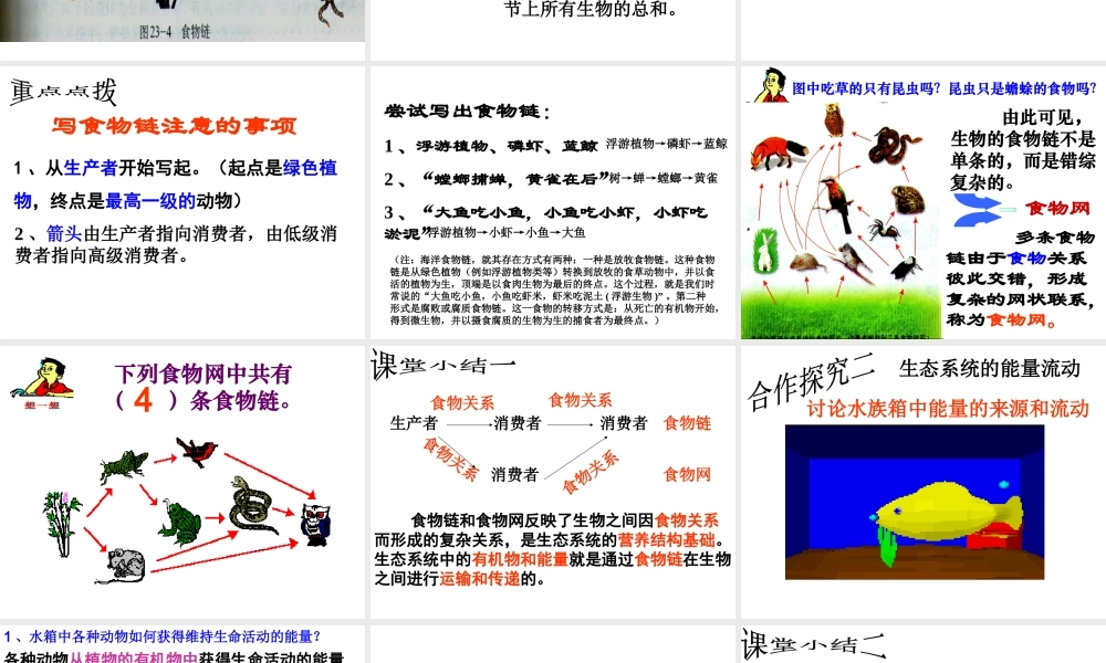 八年级生物下册 第23章 第三节 生态系统的结构和功能课件 北师大版