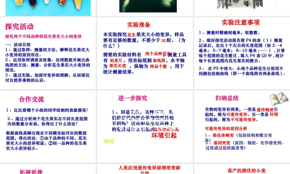 八年级生物下册 第二十二章 第五节 生物的变异课件4 （新版）苏教版