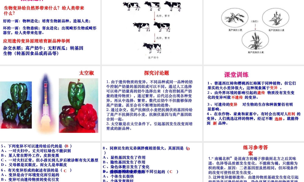 八年级生物下册 第二十二章 第五节 生物的变异课件4 （新版）苏教版