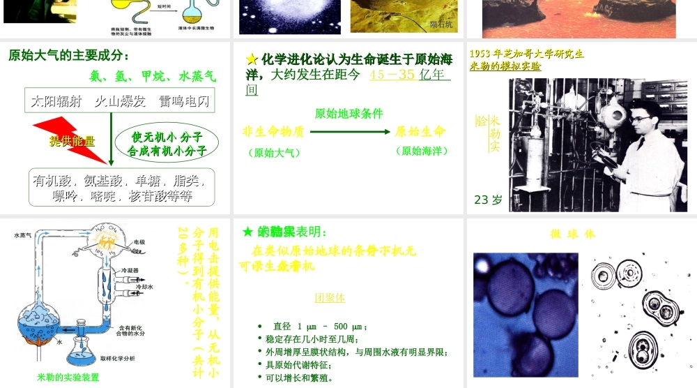 八年级生物下册 第7单元 第21章 第1节《生命的起源》课件 北师大版