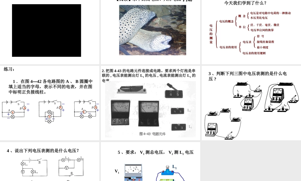 八年级科学上册 第4章 电路探秘 4.5《电压的测量》课件（2） 浙教版-浙教版初中八年级上册自然科学课件