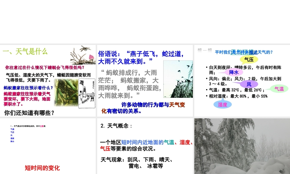 八年级科学上册 第2章 天气与气候 2.2《气温》课件（3） 浙教版-浙教版初中八年级上册自然科学课件