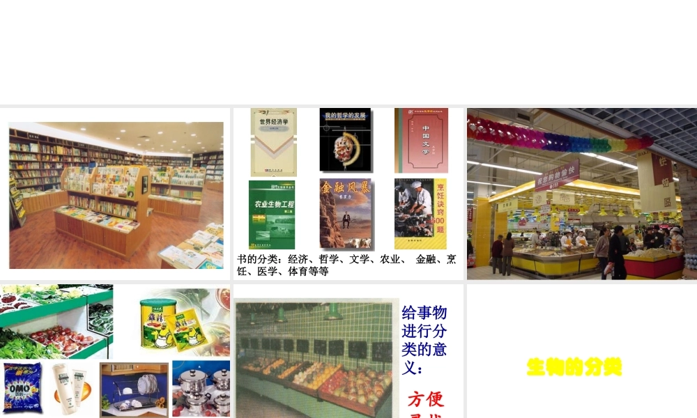 八年级生物下册 第二十二章 第一节 生物的分类课件 北师大版