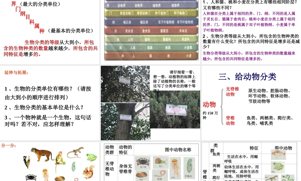 八年级生物下册 第二十二章 第一节 生物的分类课件 北师大版