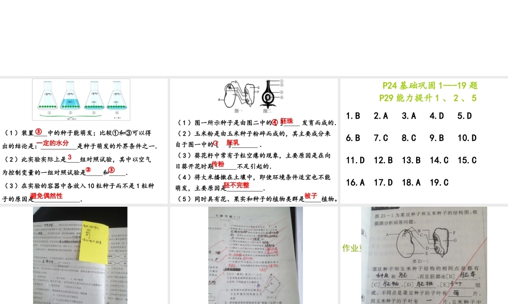 八年级生物下册 第二轮复习 专题三 生物圈中的绿色植物课件 新人教版-新人教版初中八年级下册生物课件