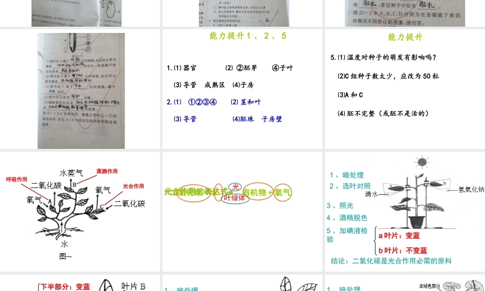 八年级生物下册 第二轮复习 专题三 生物圈中的绿色植物课件 新人教版-新人教版初中八年级下册生物课件