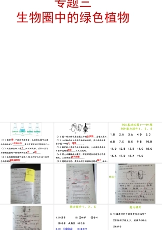 八年级生物下册 第二轮复习 专题三 生物圈中的绿色植物课件 新人教版-新人教版初中八年级下册生物课件