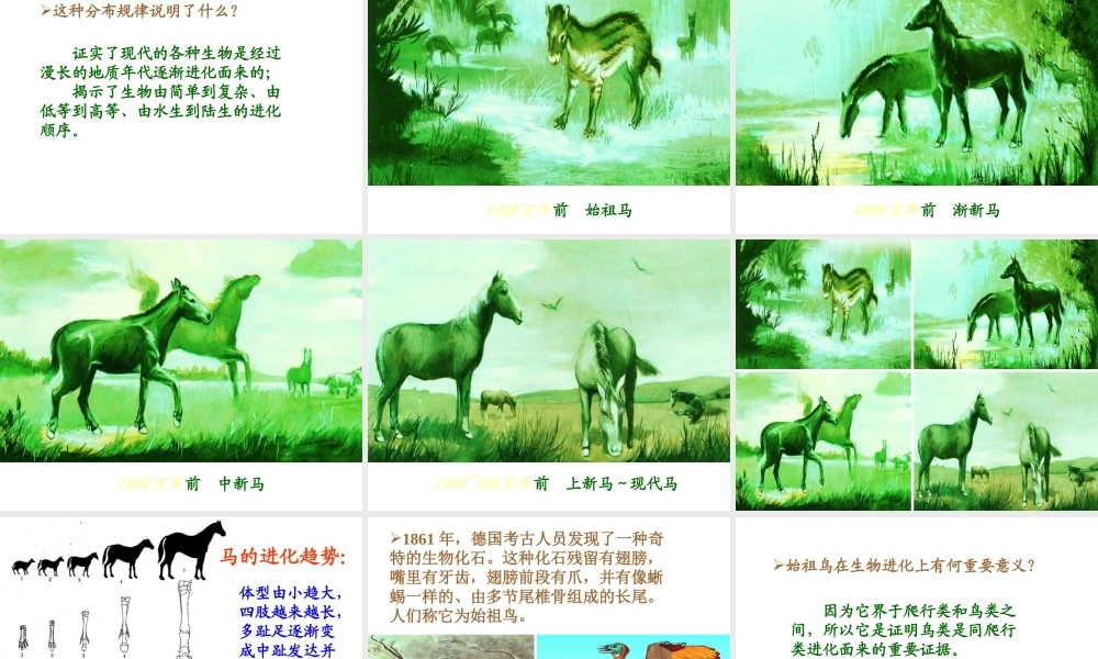 八年级生物下册 第7单元 第21章 第2节《生物的进化》课件 北师大版