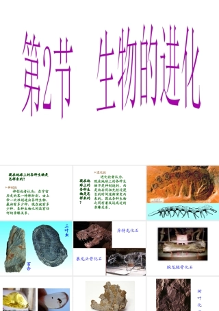 八年级生物下册 第7单元 第21章 第2节《生物的进化》课件 北师大版