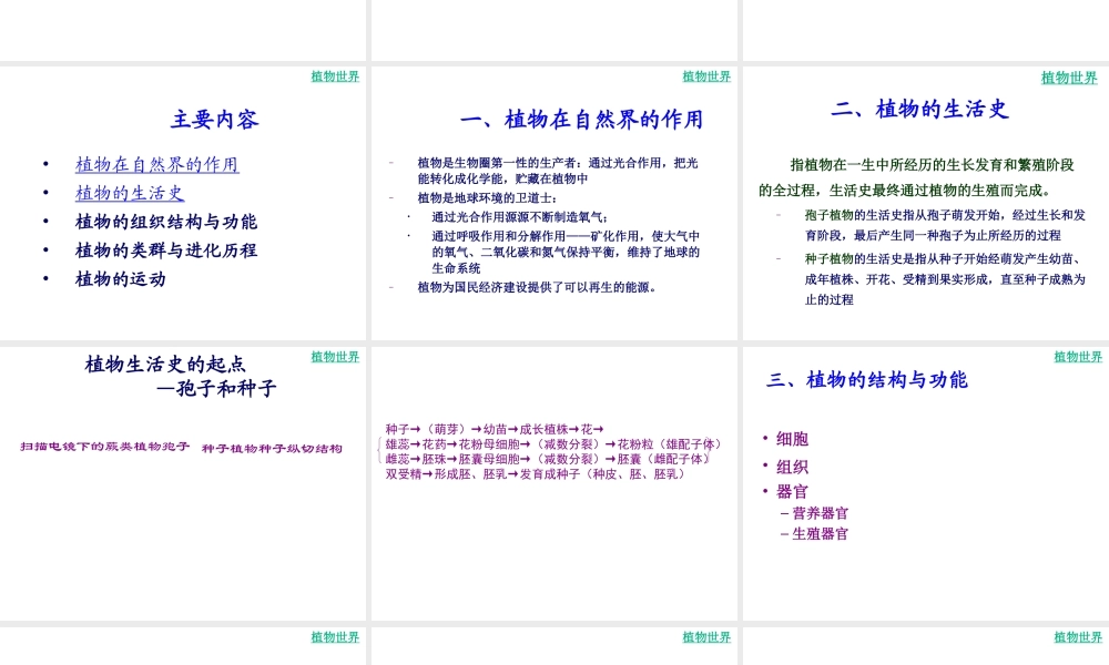 八年级生物下册 第二十二章 丰富多彩的生物世界课件 苏教版