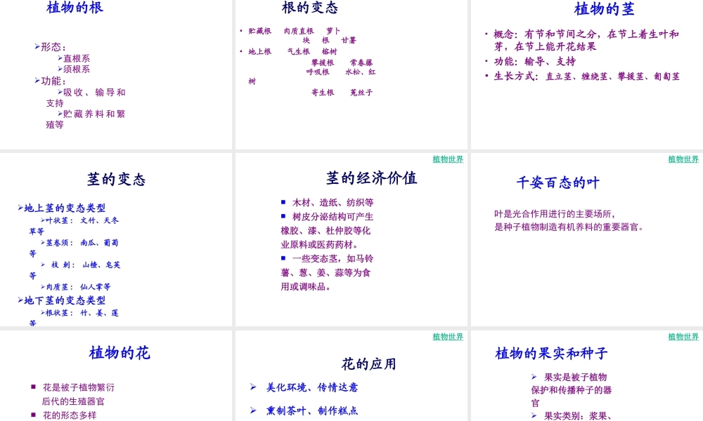 八年级生物下册 第二十二章 丰富多彩的生物世界课件 苏教版
