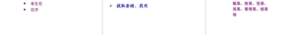 八年级生物下册 第二十二章 丰富多彩的生物世界课件 苏教版