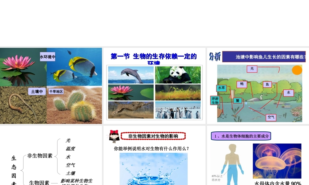 八年级生物下册 第23章 第一节 生物的生存依赖一定的环境课件 （新版）北师大版-（新版）北师大级下册生物课件